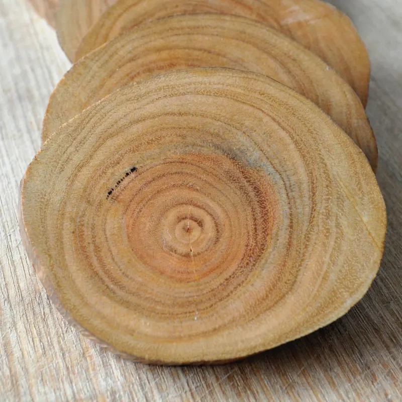 Eucalyptus slice coasters