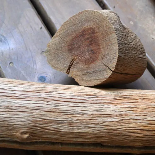Wood to be used to make a pendant