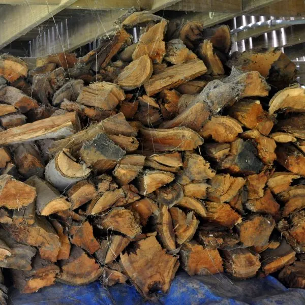 Stacked firewood