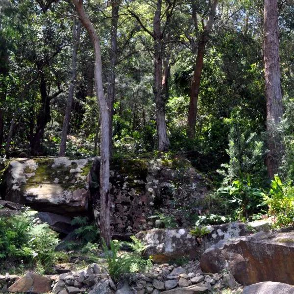 Garden forest