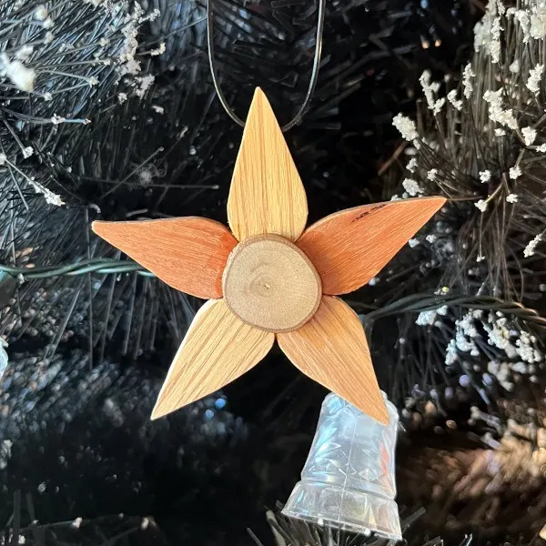 Christmas star hung on tree