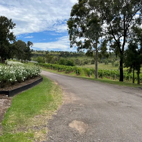 Hunter Valley Vineyard