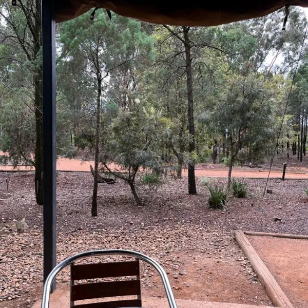 View from the tent