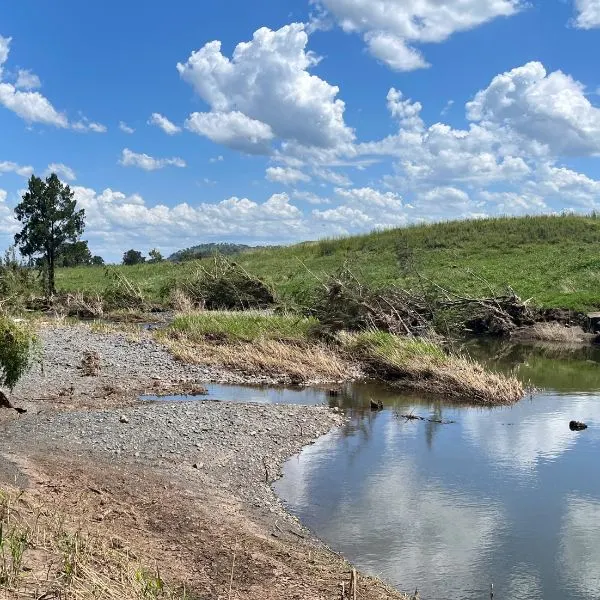 Flattened trees after flood